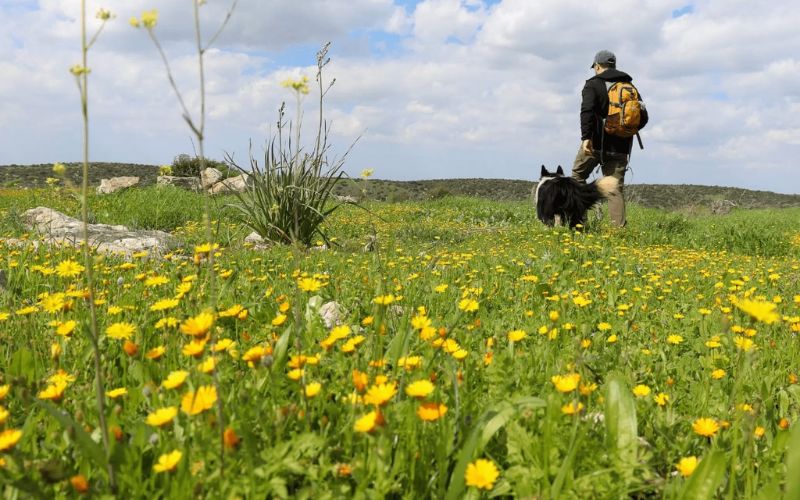 Lựa chọn thời tiết thích hợp khi du lịch Israel
