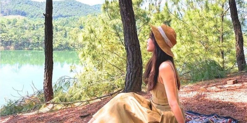 Du khách thư giãn, hít thở không khí trong lành dưới tán thông mát rượi