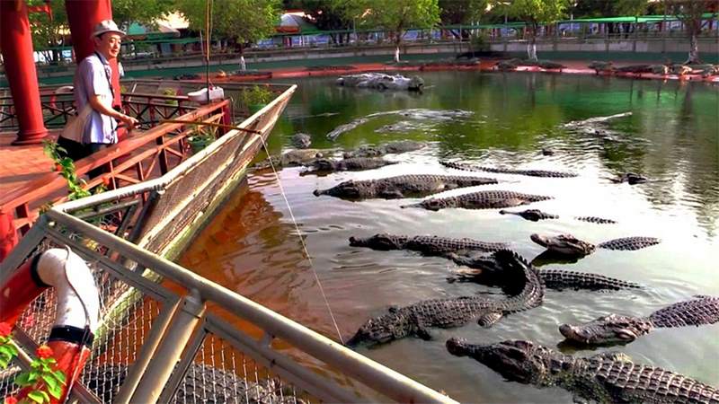 Thử sức câu cá sấu vô cùng độc đáo