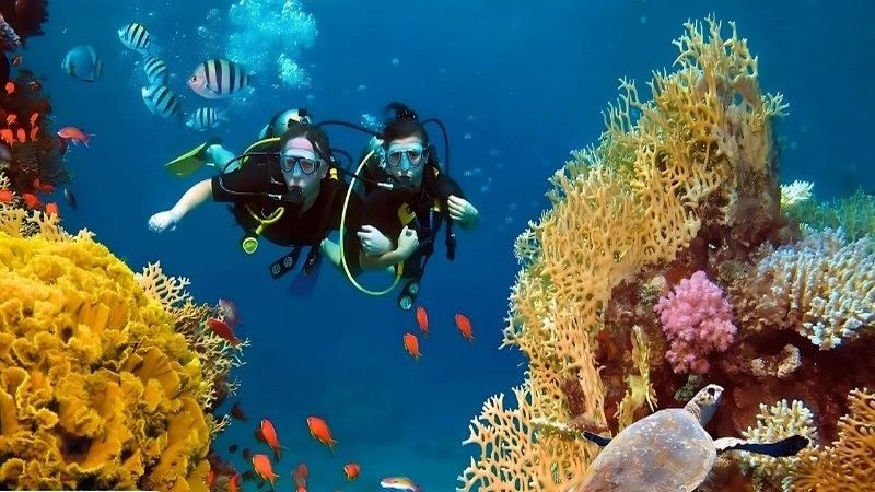 Thử thách hoạt động lặn sâu ngắm san hô