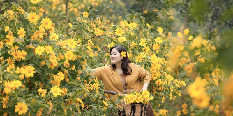 Thung lũng hoa rực rỡ