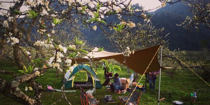 Kinh nghiệm khi ghé thăm thung lũng mận cần ghi nhớ