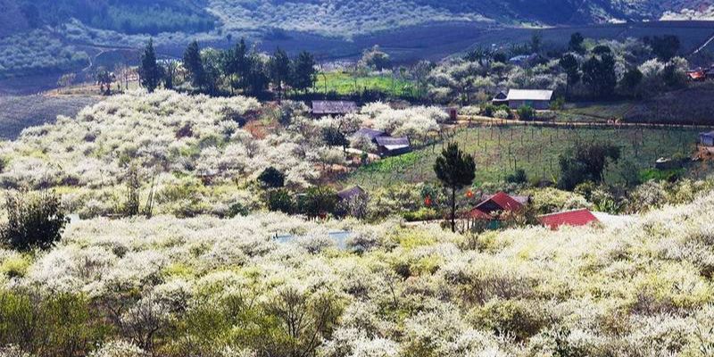 Chia sẻ nội dung tóm tắt về thung lũng mận Nà Ka