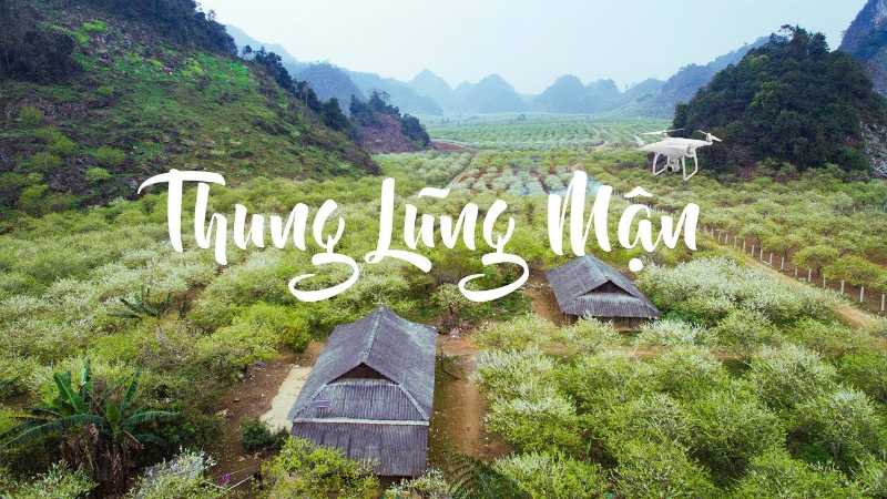 Thung lũng mận Nà Ka trắng xoá