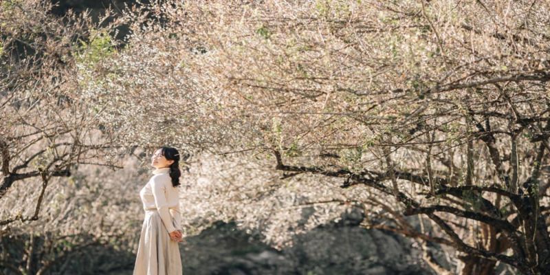 Đồi hoa mận tô điểm cho bức ảnh thêm sống động, đã mắt