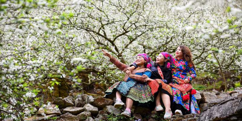 Du khách nên đến thung lũng Mu Náu mùa hoa mận nở