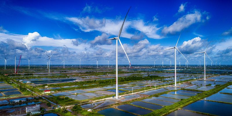 Toàn cảnh vể cánh đồng điện gió Bạc Liêu