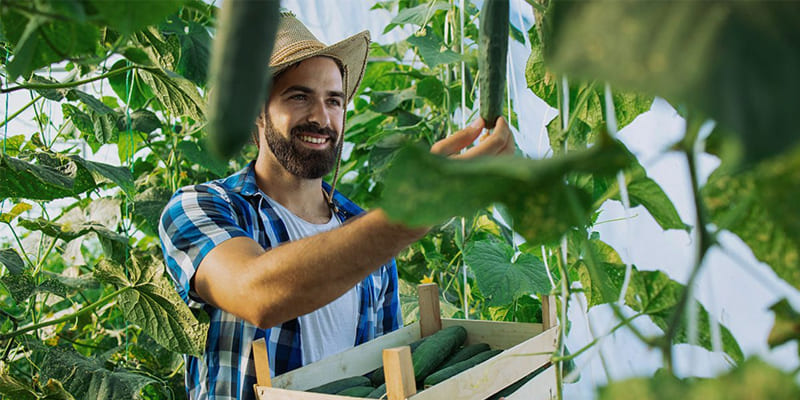 Trải nghiệm công việc nông dân tại trang trại sinh thái HimLam