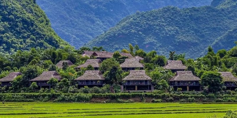 Trải nghiệm du lịch bản Lác Mai Châu hoàn hảo với NVK Travel