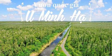 Vườn Quốc Gia U Minh Hạ - Khám Phá Vẻ Đẹp Tự Nhiên Rừng Núi