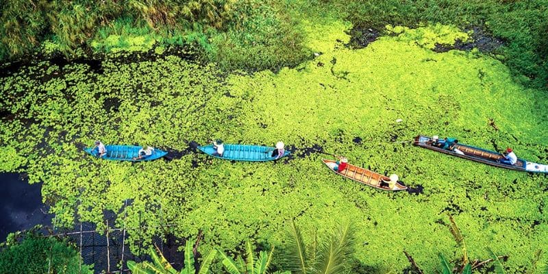 Trải nghiệm ngồi ghe dạo quanh khám phá khu du lịch