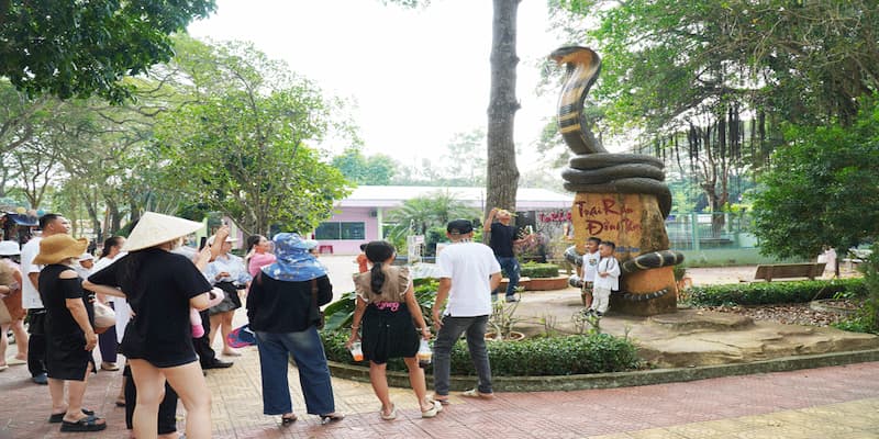 Thăm quan trại rắn theo tour để đảm bảo an toàn