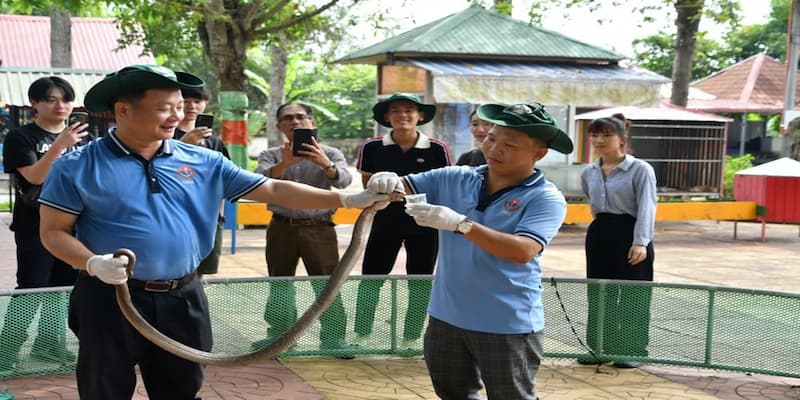Thực hiện chụp hình với rắn không độc theo chỉ dẫn