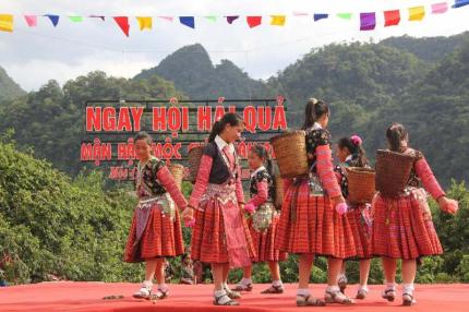 Chi Phí Đi Du Lịch Mộc Châu - Hướng Dẫn Chi Tiết Từ A-Z