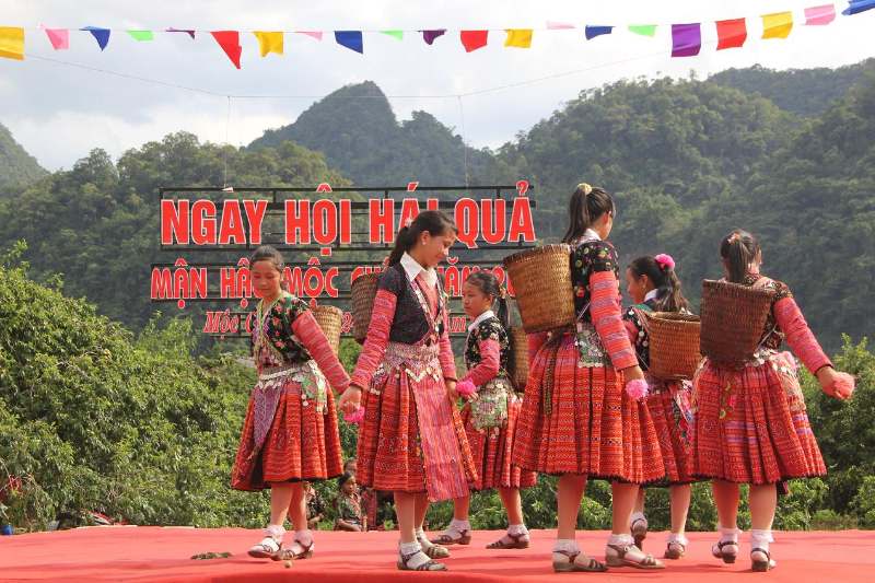 Tránh mùa lễ hội để tiết kiệm chi phí đi du lịch Mộc Châu 