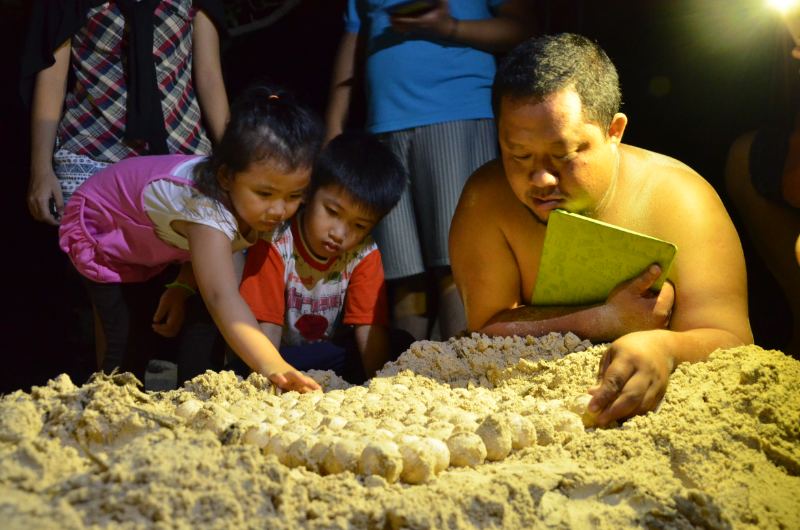 Hoạt động thả rùa về biển hấp dẫn trẻ em