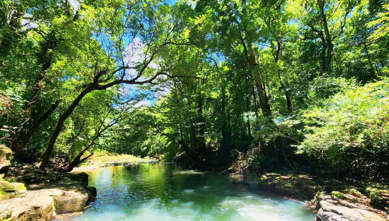 Những trải nghiệm nổi bật khi trekking Bù Gia Mập