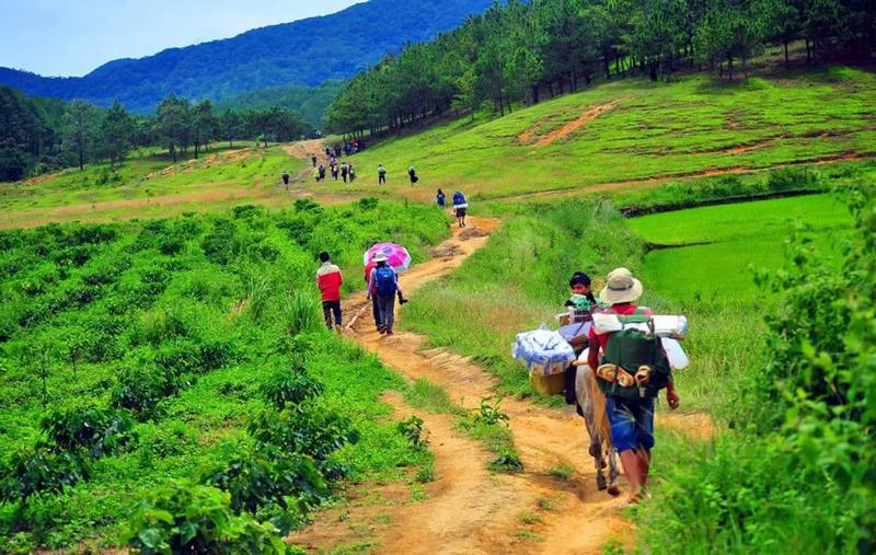 Chi phí và thời điểm phù hợp để trekking Tà Năng