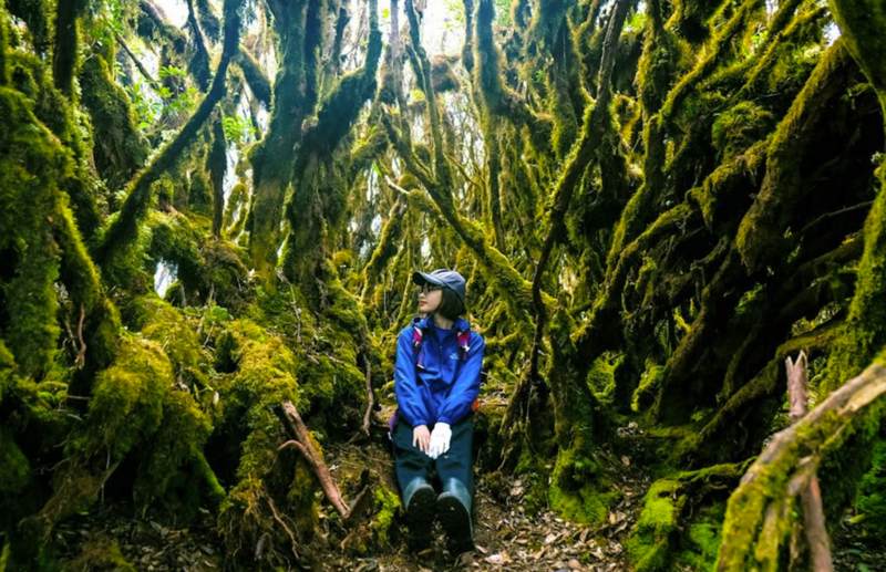 Hành trình lên Tà Xùa, nơi thiên nhiên phác họa cảm xúc