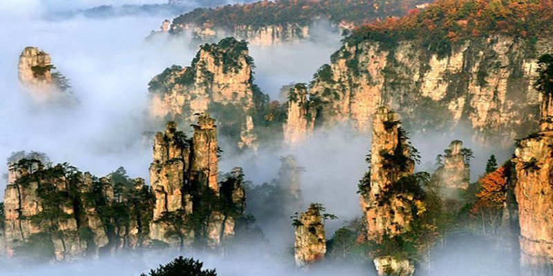 Trương Gia Giới là "Thế giới Avatar"