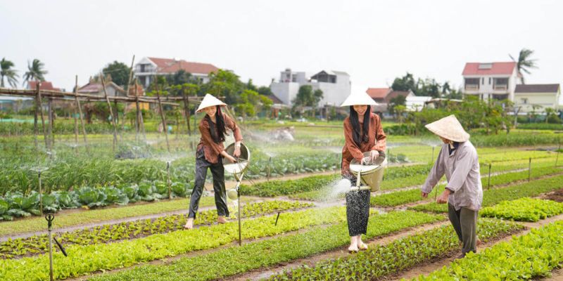 Du khách trải nghiệm tưới cây bằng chiếc gàu truyền thống
