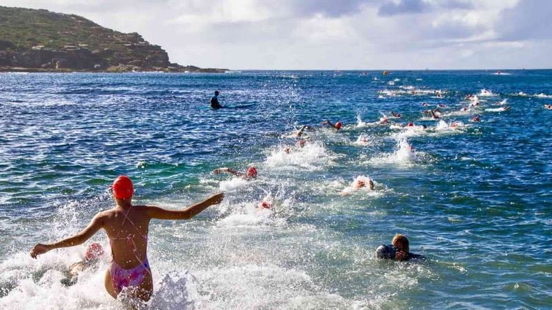 Vào mùa hè tắm mát trên biển cực đã