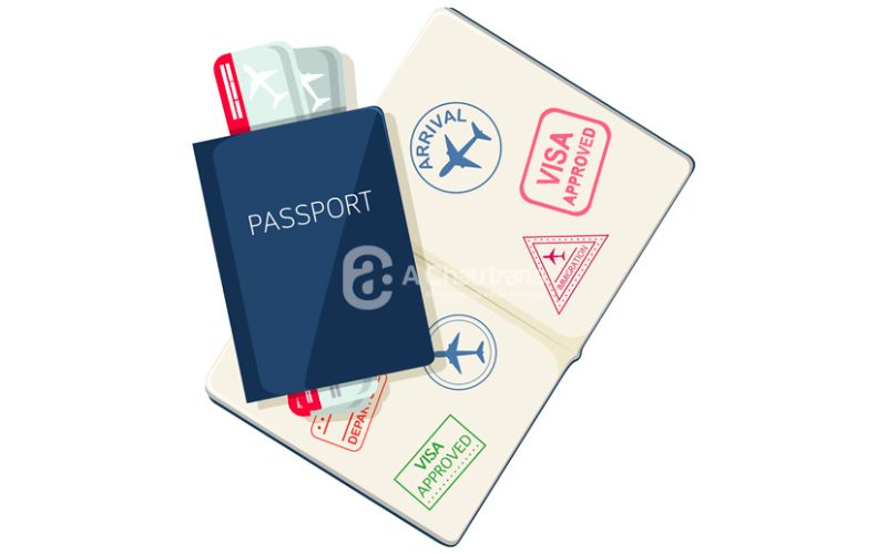 Tìm hiểu về visa VITEM