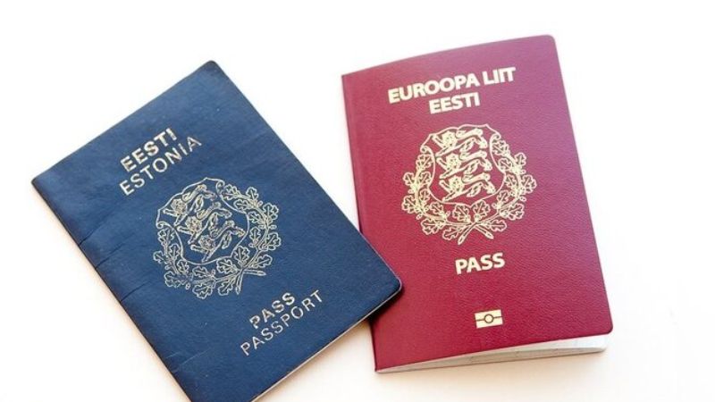Visa Estonia phân loại theo mục đích