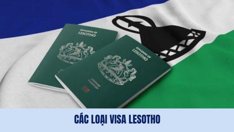 Visa đi Lesotho được phân loại theo mục đích nhập cảnh