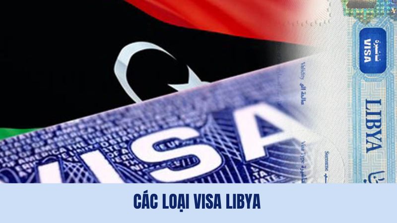 Visa đi Libya được phân loại theo mục đích nhập cảnh
