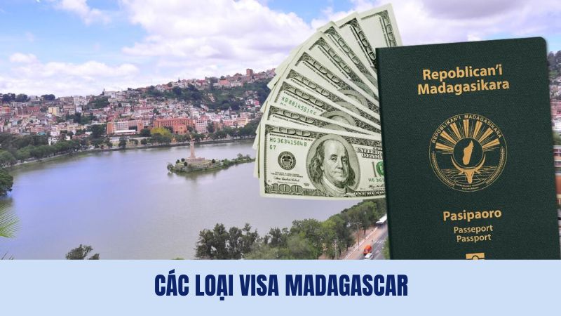 Visa đi Madagascar được chia theo mục đích