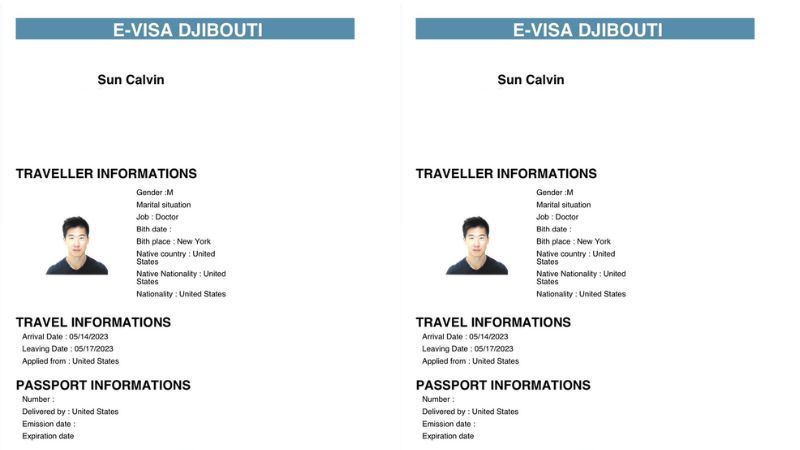 Visa điện tử giúp quá trình xin thị thực nhanh chóng hơn