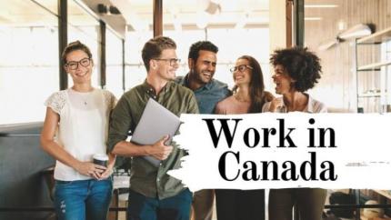 Visa Du Lịch Canada Có Được Đi Làm Không? Giải Đáp Chi Tiết