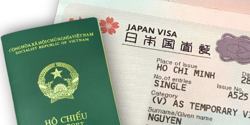 Loại visa cáp theo mục đích chuyến đi