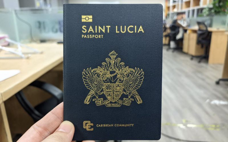 Visa Saint Lucia được phân loại theo mục đích nhập cảnh