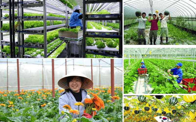 Visa E8 thời hạn là 5 tháng