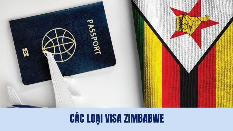 Visa Zimbabwe được phân loại vào mục đích nhập cảnh