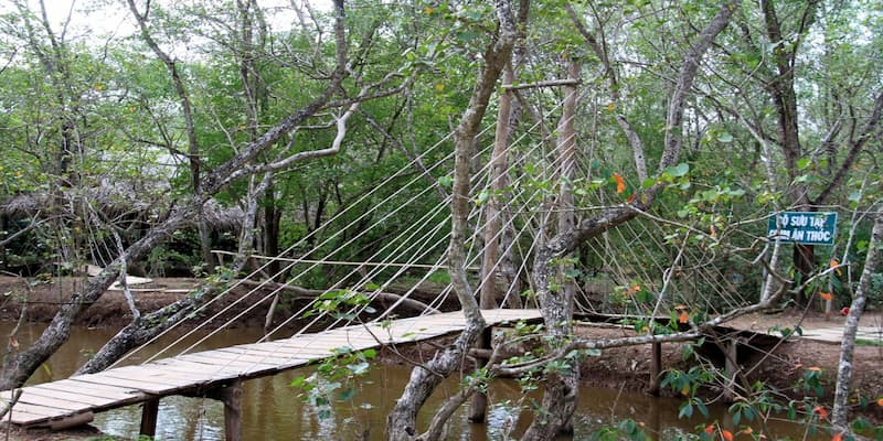 Ngắm cảnh vườn chim Bạc Liêu khi đi ngang rừng tràm