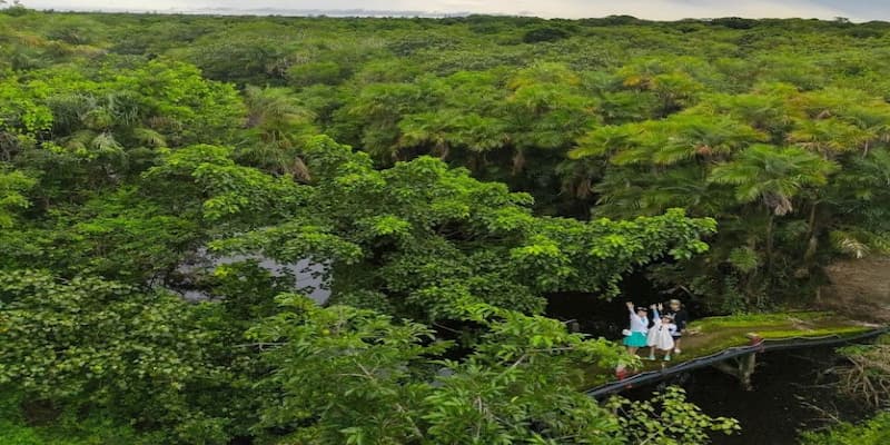 Cảnh quan vườn chim Bạc Liêu từ trên cao nhìn xuống