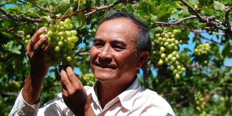 Trò chuyện cùng những người nông dân và lắng nghe câu chuyện khởi nghiệp