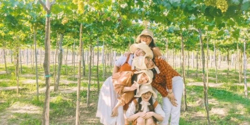 Tham quan Vườn nho Ba Mọi trọn vẹn cùng bạn bè