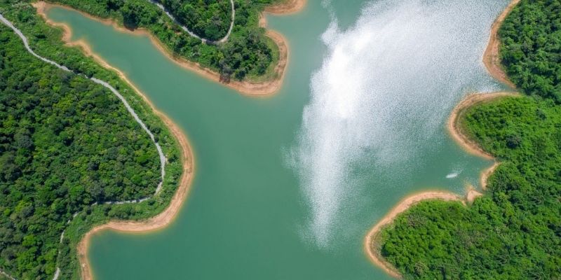 Đi bộ xuyên rừng tận hưởng không gian xanh mát, yên bình