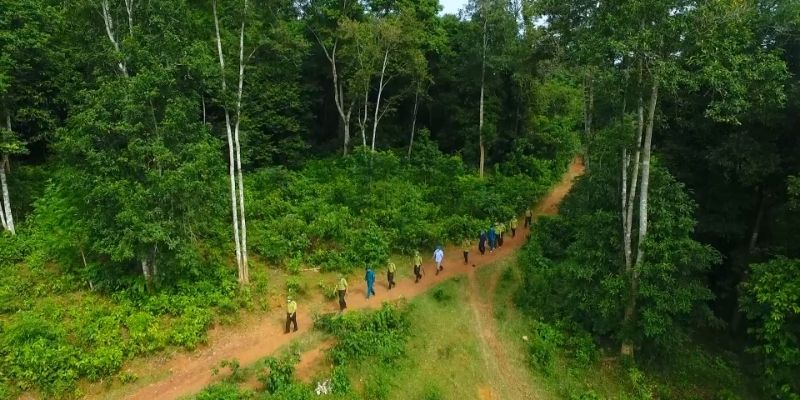 Rừng nguyên sinh Bến En là ngôi nhà của hàng nghìn loài động thực vật quý hiếm