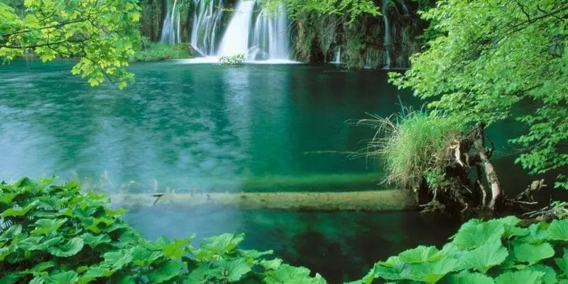 Trải nghiệm đi thuyền, chèo kayak và cắm trại giữa không gian trong lành