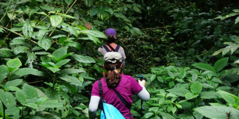 Trải nghiệm leo núi lên đỉnh Mây Bạc