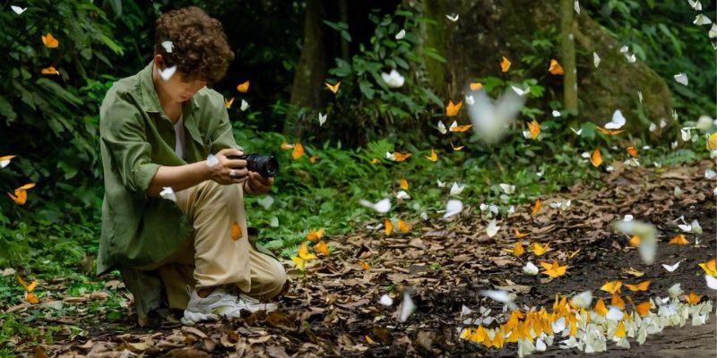 Thăm quan Cúc Phương vào mùa Bướm