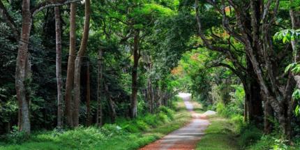 Vườn Quốc Gia Cúc Phương - Update Mọi Thông Tin Mới Nhất