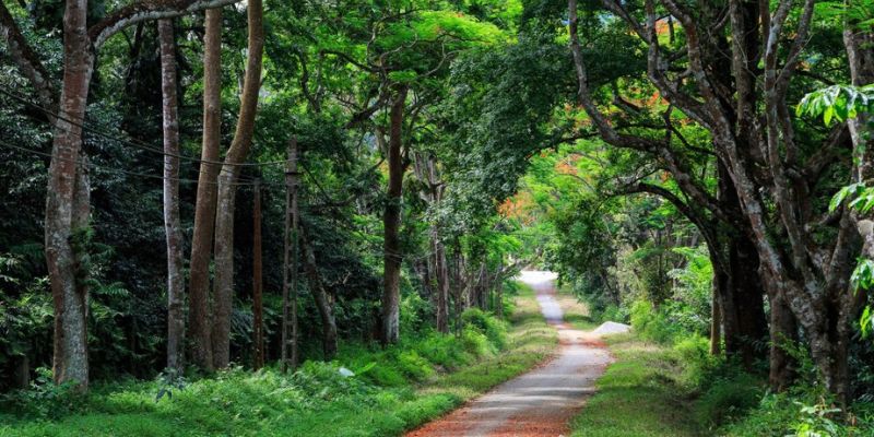 Thời điểm thích hợp để du lịch vườn quốc gia