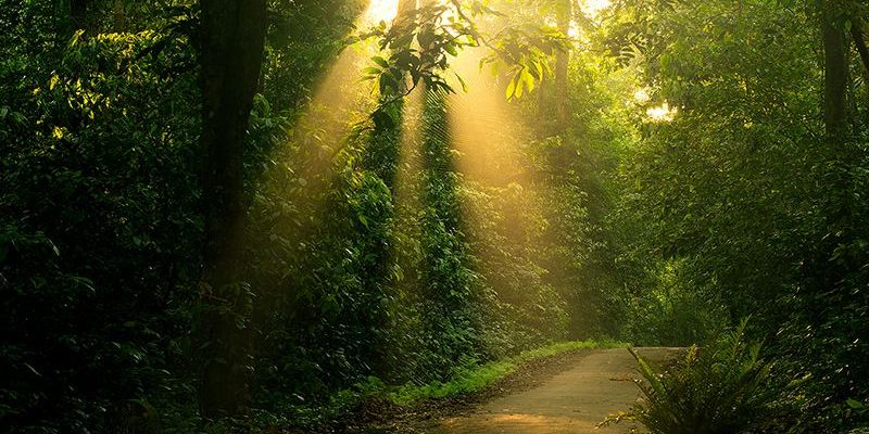 Lưu ý cần nhớ khi đi du lịch vườn quốc gia Cúc Phương