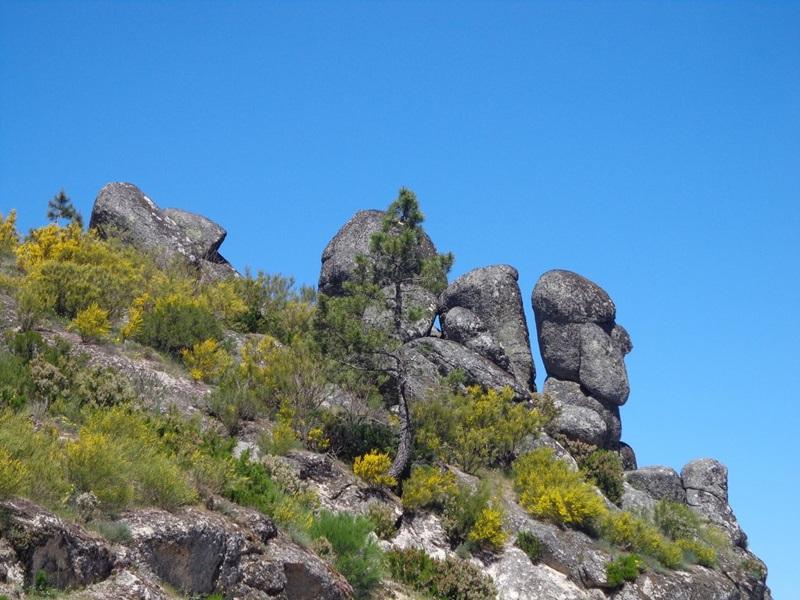 Vườn quốc gia lớn nhất Bồ Đào Nha - Parque Natural da Serra da Estrela 